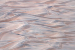 Pink Dune