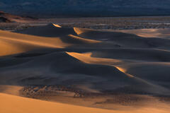 Dune Light