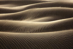 Dune Waves