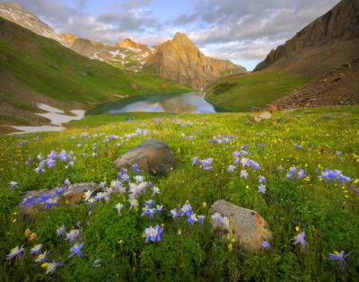 A small alpine lake reflects the mountain and sky in a green meadow filled with purple spring wildflowers fills the frame.