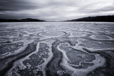 Bleak Beauty | Abstract Photography In Nature
