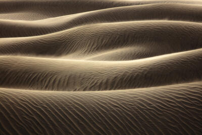 Abstract Photography - Let's Get Intimate
