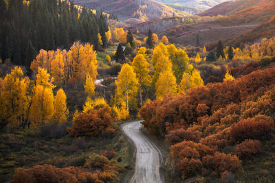A country road is pictured from above with fall color aspens and countryside 