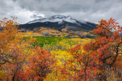 Snow covered mountain peak with clouds behind it and, in front, a valley full of fall color aspen trees.