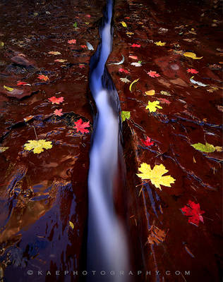 The Mighty Five National Parks of Utah