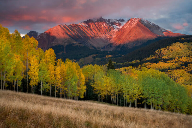 Mountain El Diente is see in the background as the fall aspen trees in yellow and green fill the hillside and the sun hits the mountain top at sunset.