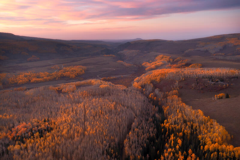 An aerial photograph above the aspen countryside that shines glimmers of gold aspen leaves as the sun sets. 