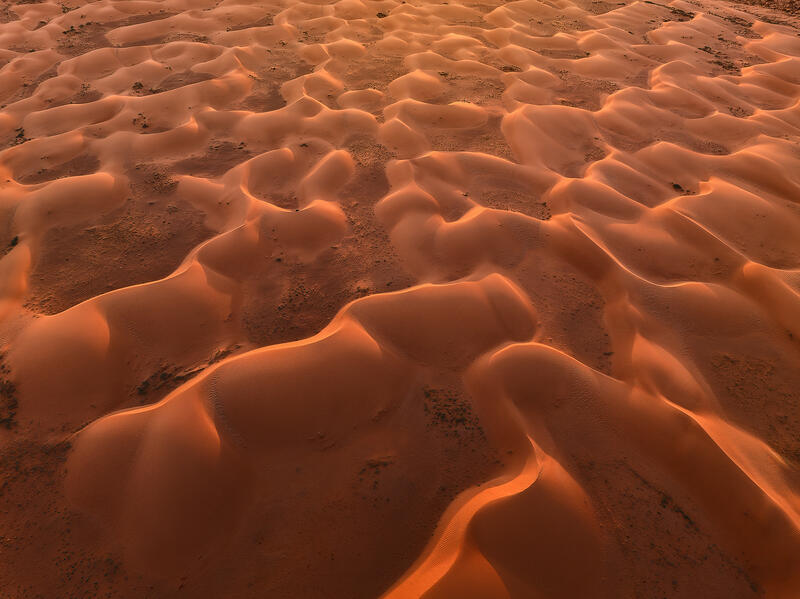 Wind-sculpted orange sand dunes ripple across the Utah desert in warm golden light.