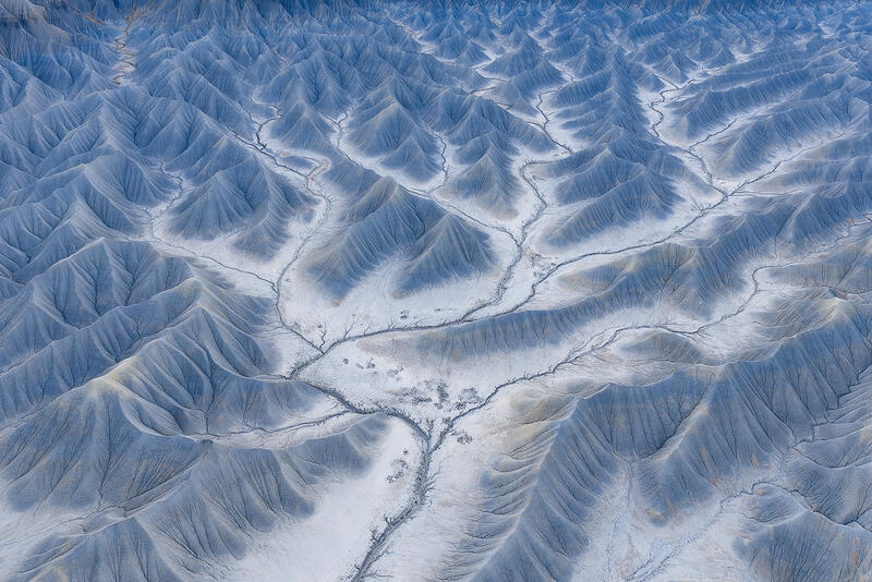 Silent Tributaries print