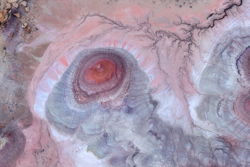 Bentonite Bloom print