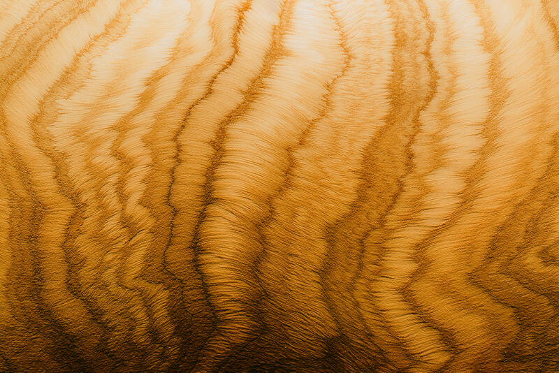 An abstract aerial of flowing sand and earth textures shaped into graceful wave-like patterns.