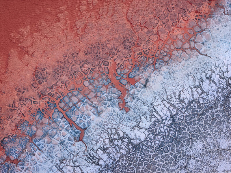 An abstract aerial of cracked salt and mineral formations resembling a colorful natural mosaic.
