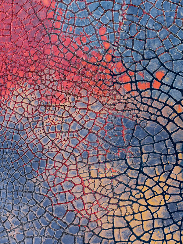 An intricate patchwork of cracked earth and vivid mineral color creates a striking abstract aerial design.