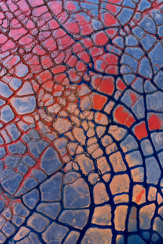 An aerial abstract of red mineral polygons divided by dark blue channels across an Australian salt flat.