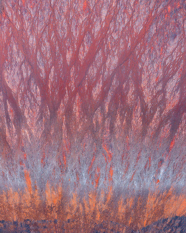 Branching crimson textures spread across the landscape in a striking abstract aerial composition inspired by natural flow patterns.