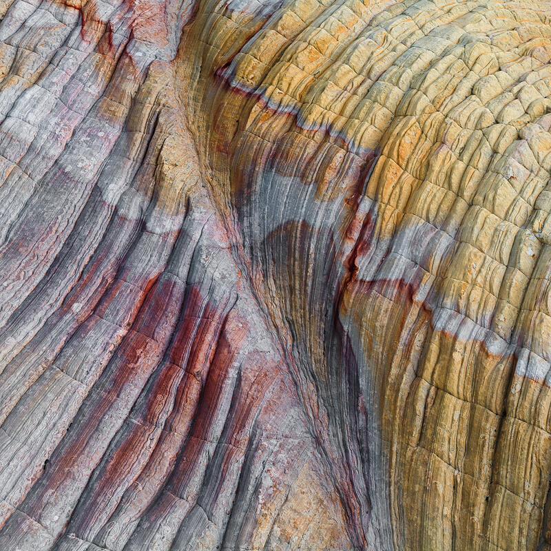 Abstract folded Sandstone rock layers with gold, gray, burgundy, cream, and red geological bands