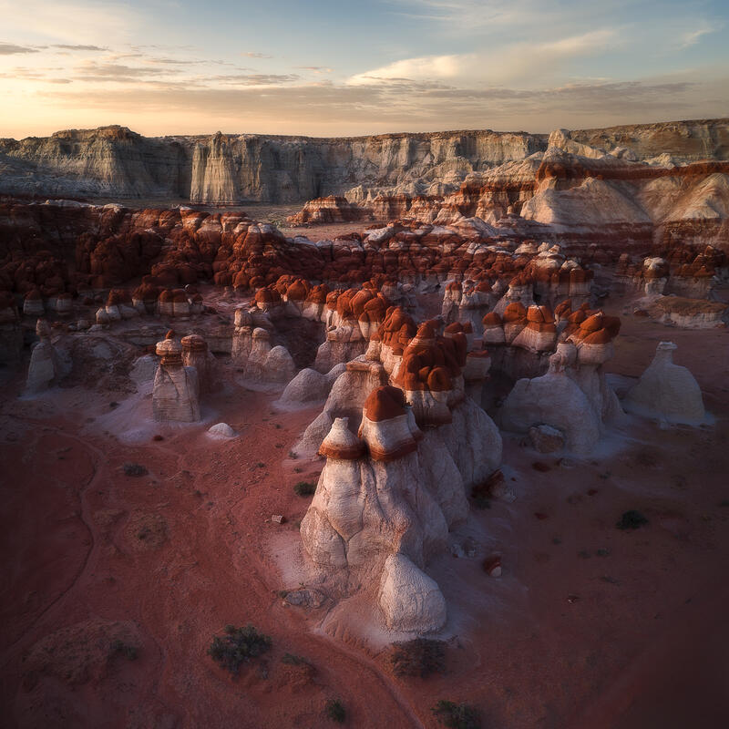 Guardians of the Desert