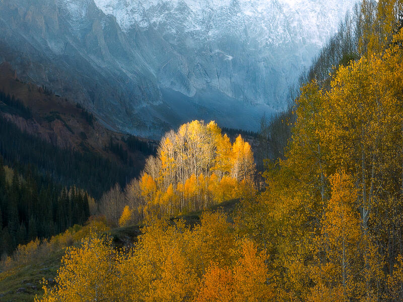 2026 Fall Color