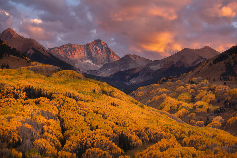 A mountain sits in the distance with a valley of yellow and orange aspen and cottonwood trees in the distance and pink clouds in the sky at sunset.
