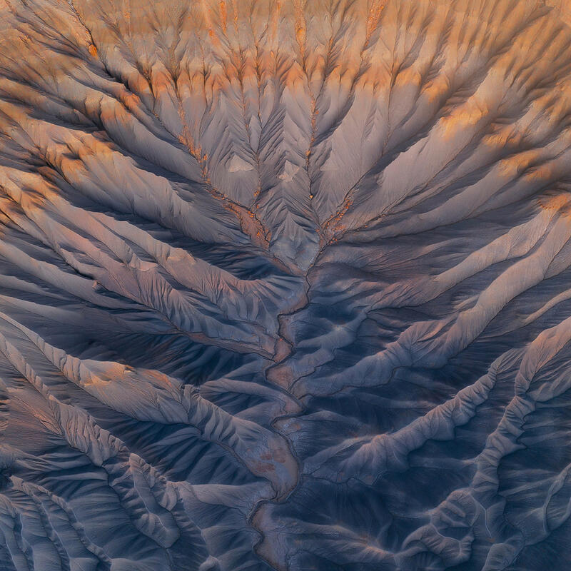 Branching erosion channels through blue-gray Utah badlands at golden hour.