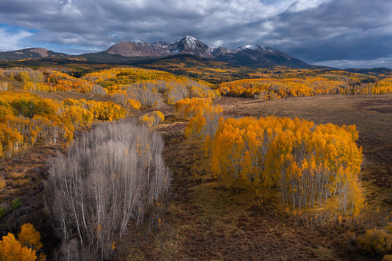 Some aspen trees have lost their leaves while others have golden colored leaves. In the distance, snow caps the mountains. 