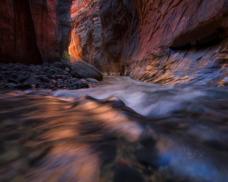 Gold Rush II print