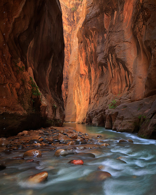 Heart of Zion print