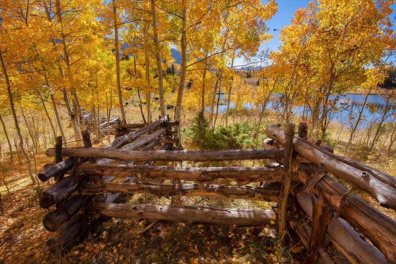 An old, zig-zag wooden fence weaves between golden aspen trees alongside a lake.