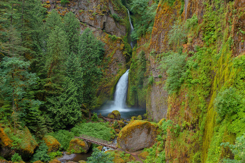 A waterfall is set in the middle of rocky gorge covered in lush green moss, ferns and trees. A trail is seen with a bridge that crosses over the river. 