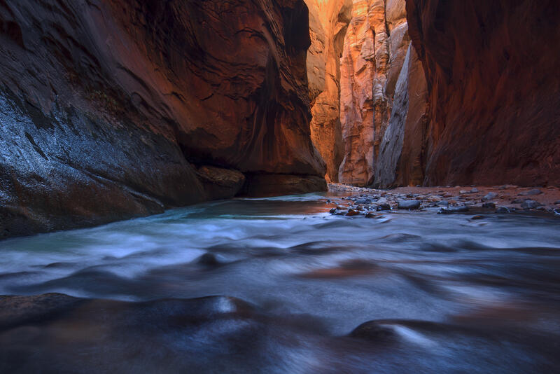 Chasing the Light print