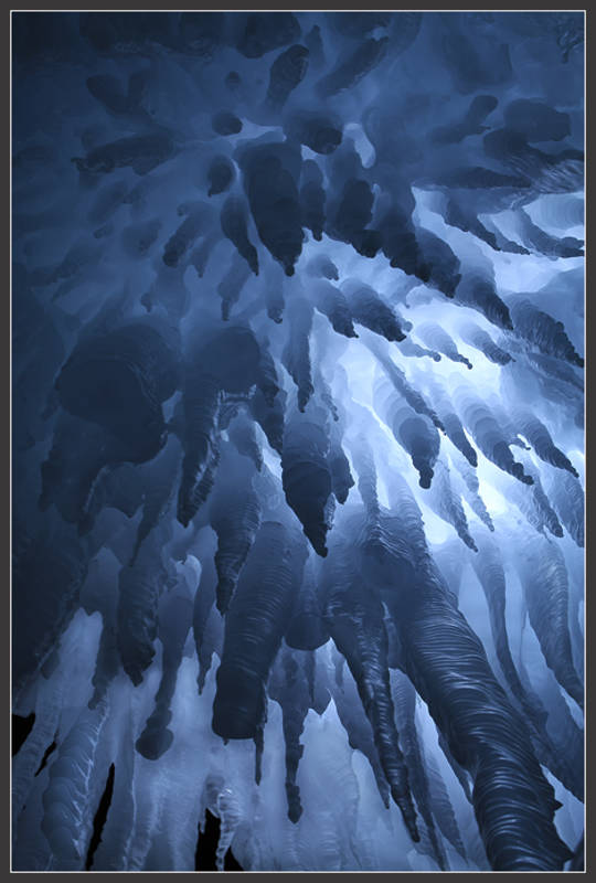 The Thing print