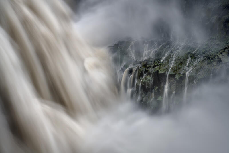 Window into Dentifoss print