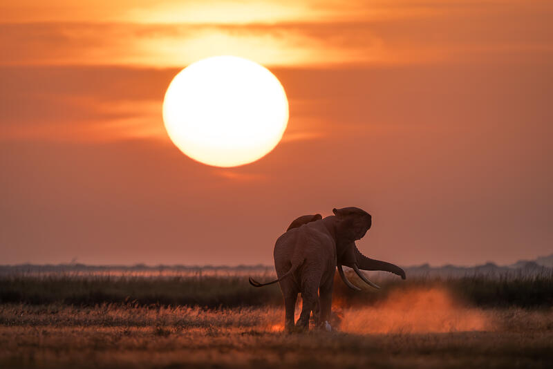 Playful Sundown