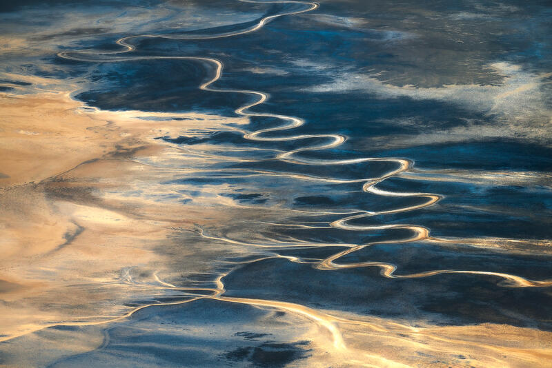 Sinuous Saline print