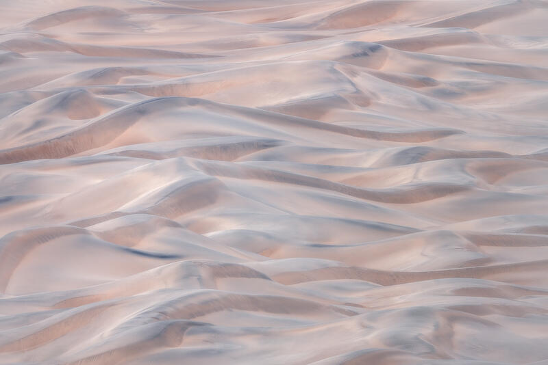 Pink Dune print