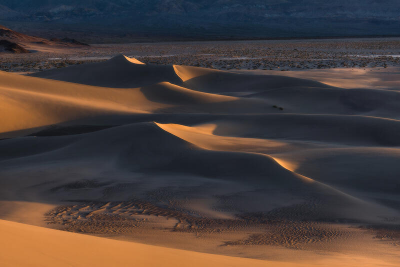 Dune Light print