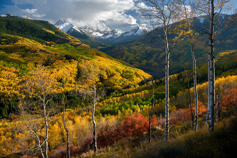 Mountain capped in snow stands in the background while aspens in fall color glow colors of red, orange and yellow.
