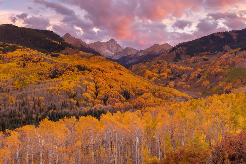 A mountain sits in the distance with a valley of yellow and orange aspen and cottonwood trees in the distance and pink clouds in the sky at sunset.