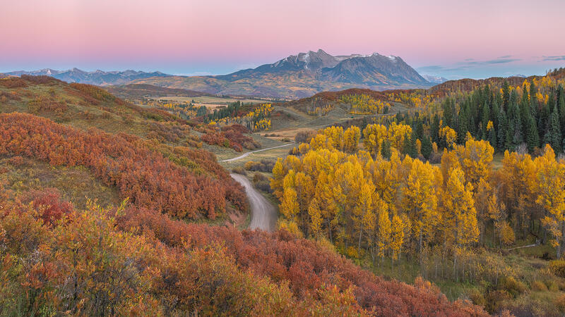 Autumn Road print
