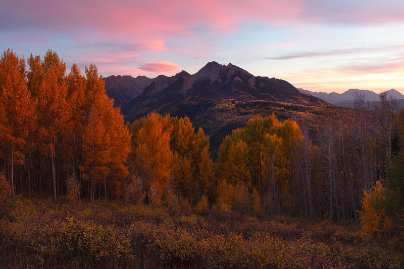Orange aspens frame a Colorado mountain beneath soft pink and lavender autumn twilight.