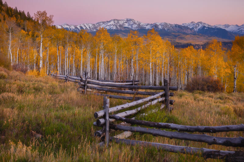 Mountain range dusted with snow, aspen trees in yellow and an old fence line leading into the photo.