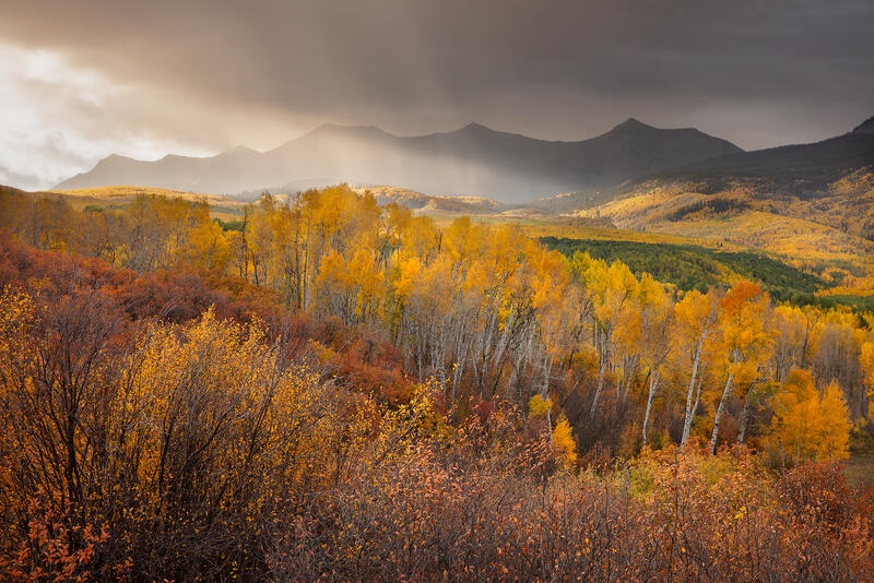 Golden aspens glow beneath a passing Colorado mountain storm as sunlight breaks through the rain.