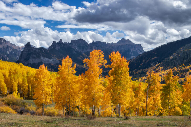 Jagged mountains with bright yellow and orange aspen trees in front and white clouds in the sky.