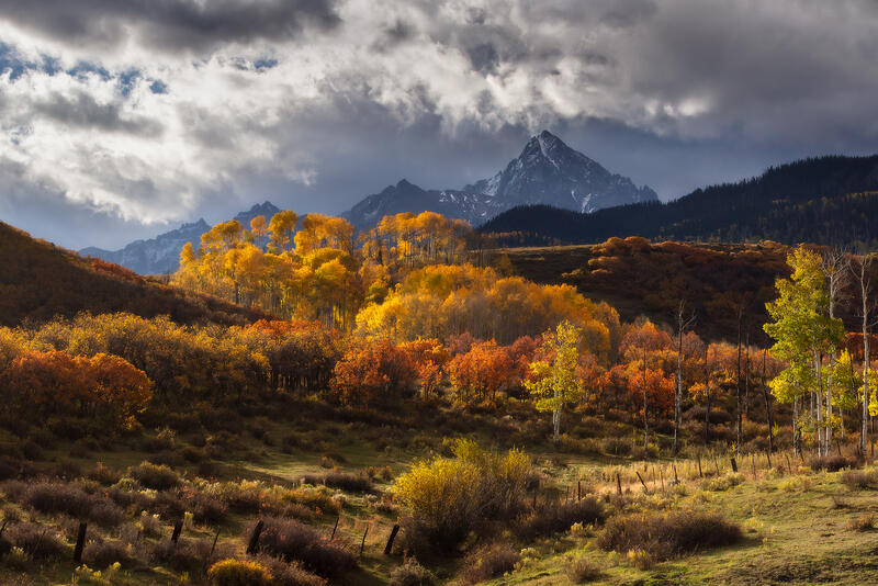 Sunlight casts a spotlight onto the orange and yellow fall color aspen trees with a mountain in the background and some clouds in the sky.