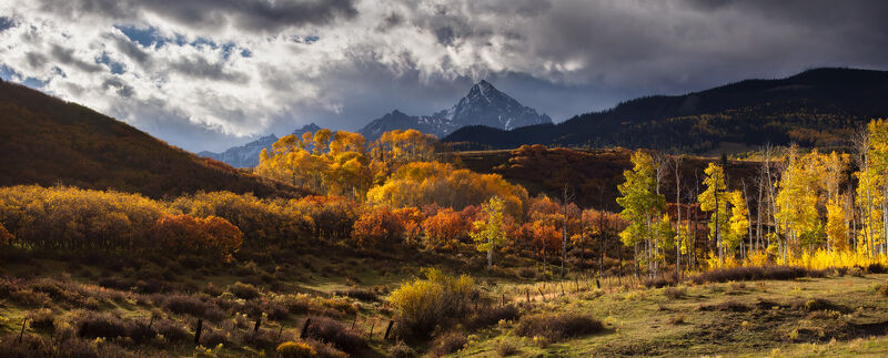 The sun shines a spotlight on to the aspen trees as it peers through the morning clouds in this mountain scent.