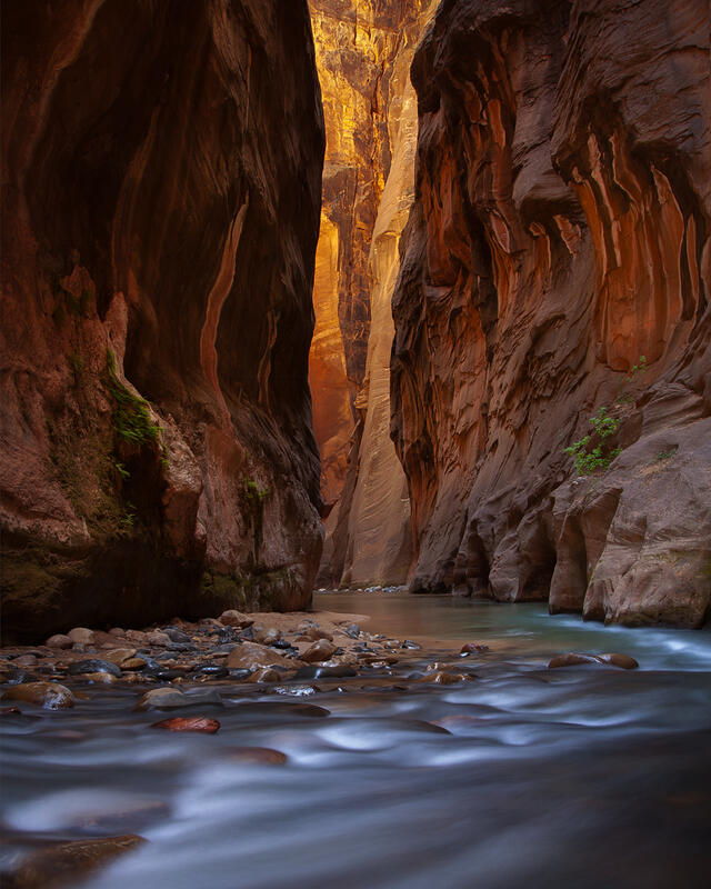 Cavernous  print