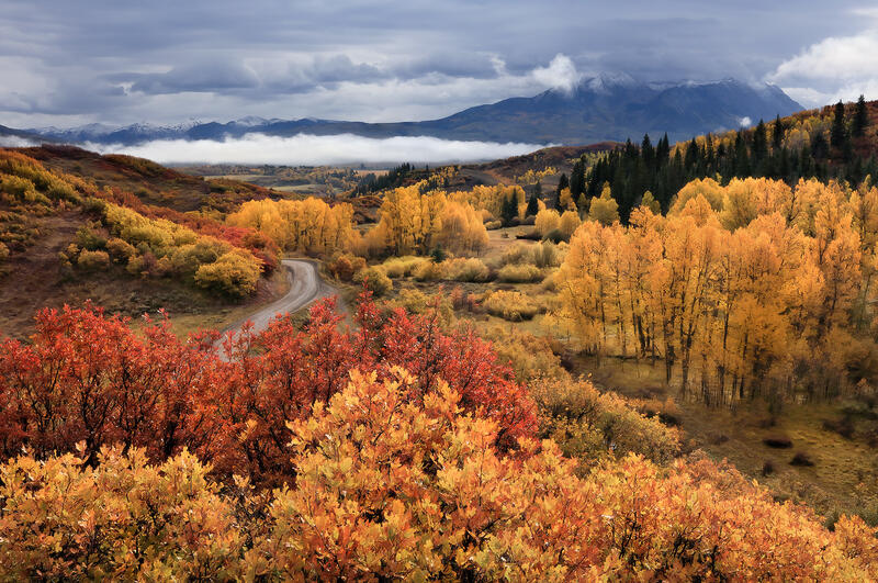 A road winds through the Colorado hillsides of yellow, orange and red fall color trees  with a mountain range in clouds in the distance.