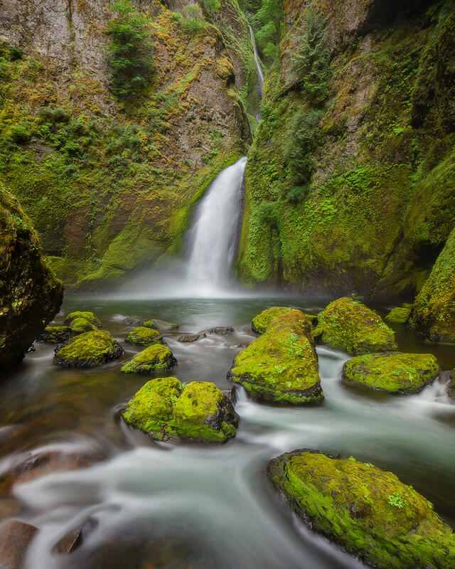 Waterfall appears to come out of the rock as the creek feeding it hides in the cliff above. Water rushes around the moss covered rocks .