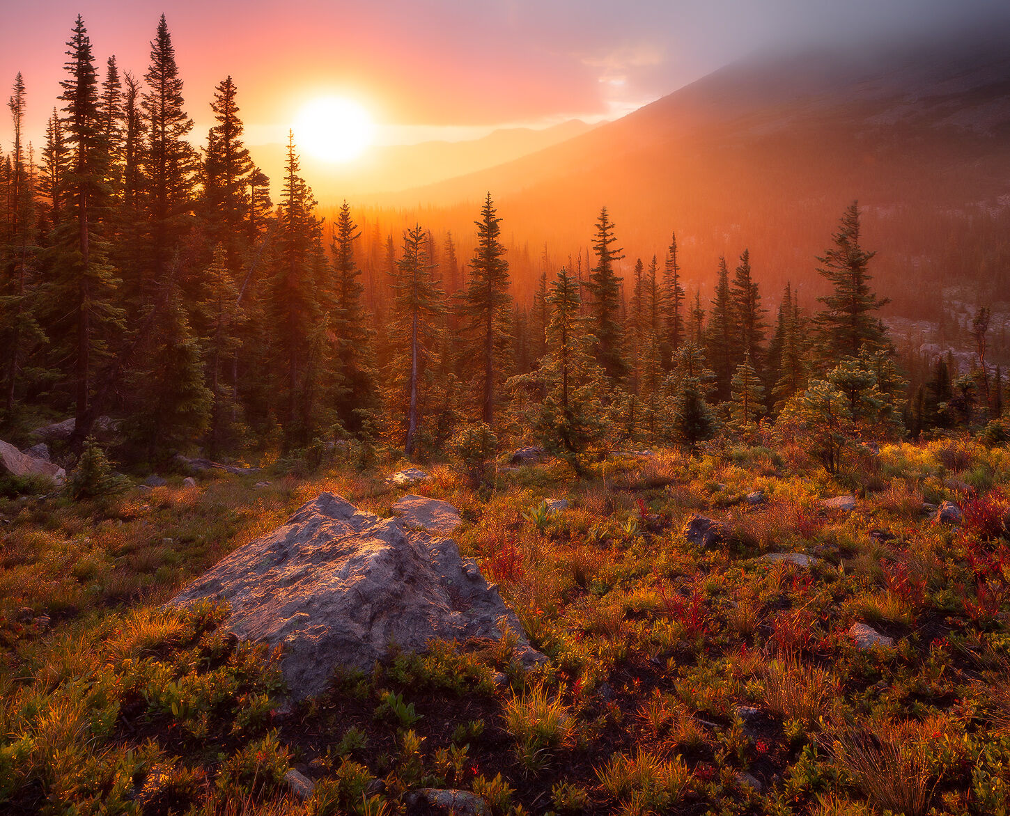 A bright setting sun shines on the spruce forest and grassy hillside casting an orange glow.