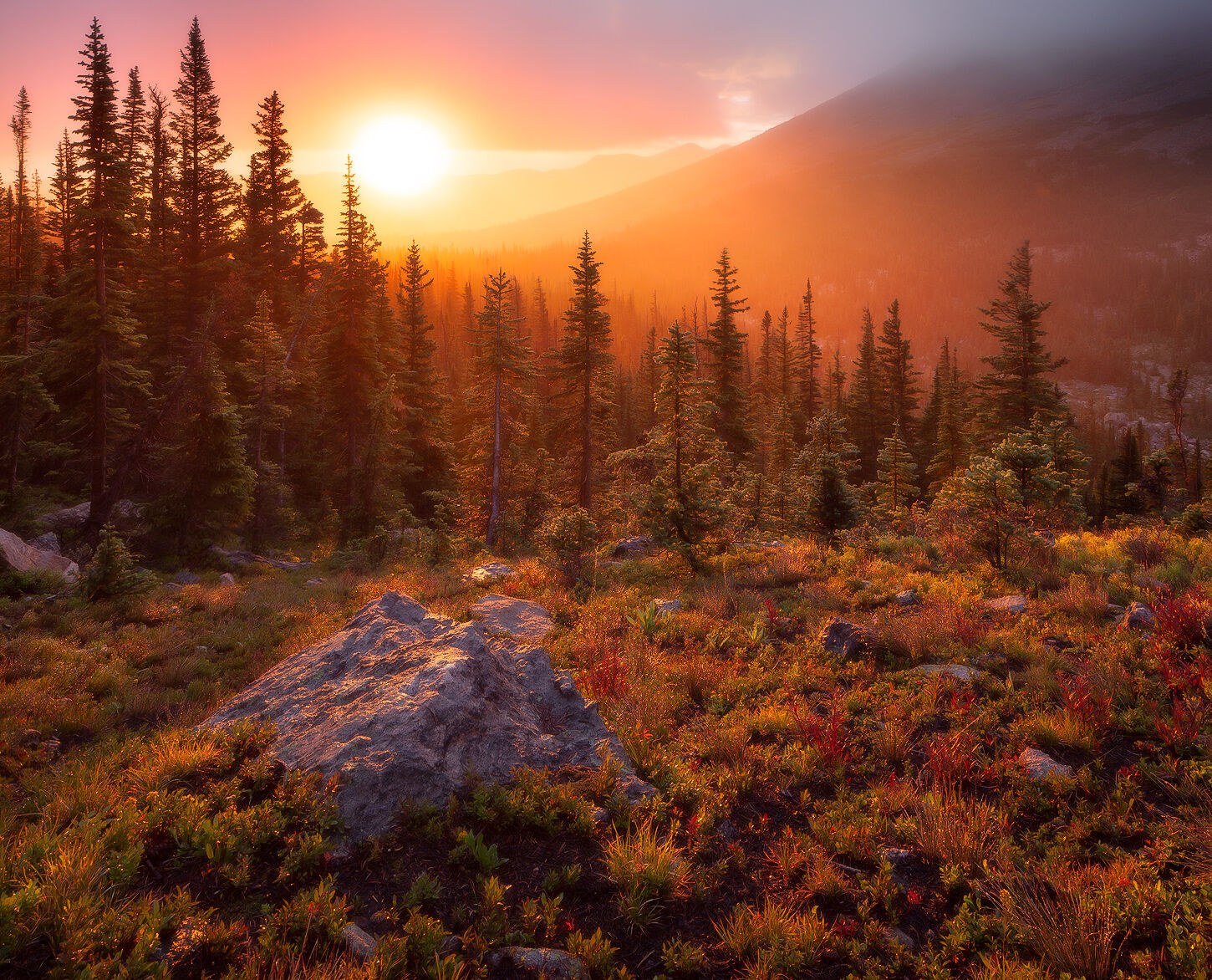 Red Blaze | Mountain Sunset Photo for Sale A bright setting sun shines on the spruce forest and grassy hillside casting an orange glow.